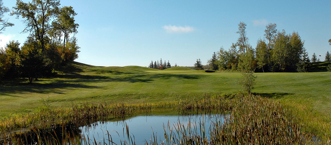 Book Your Tournament NOW @ Eagle Rock Image
